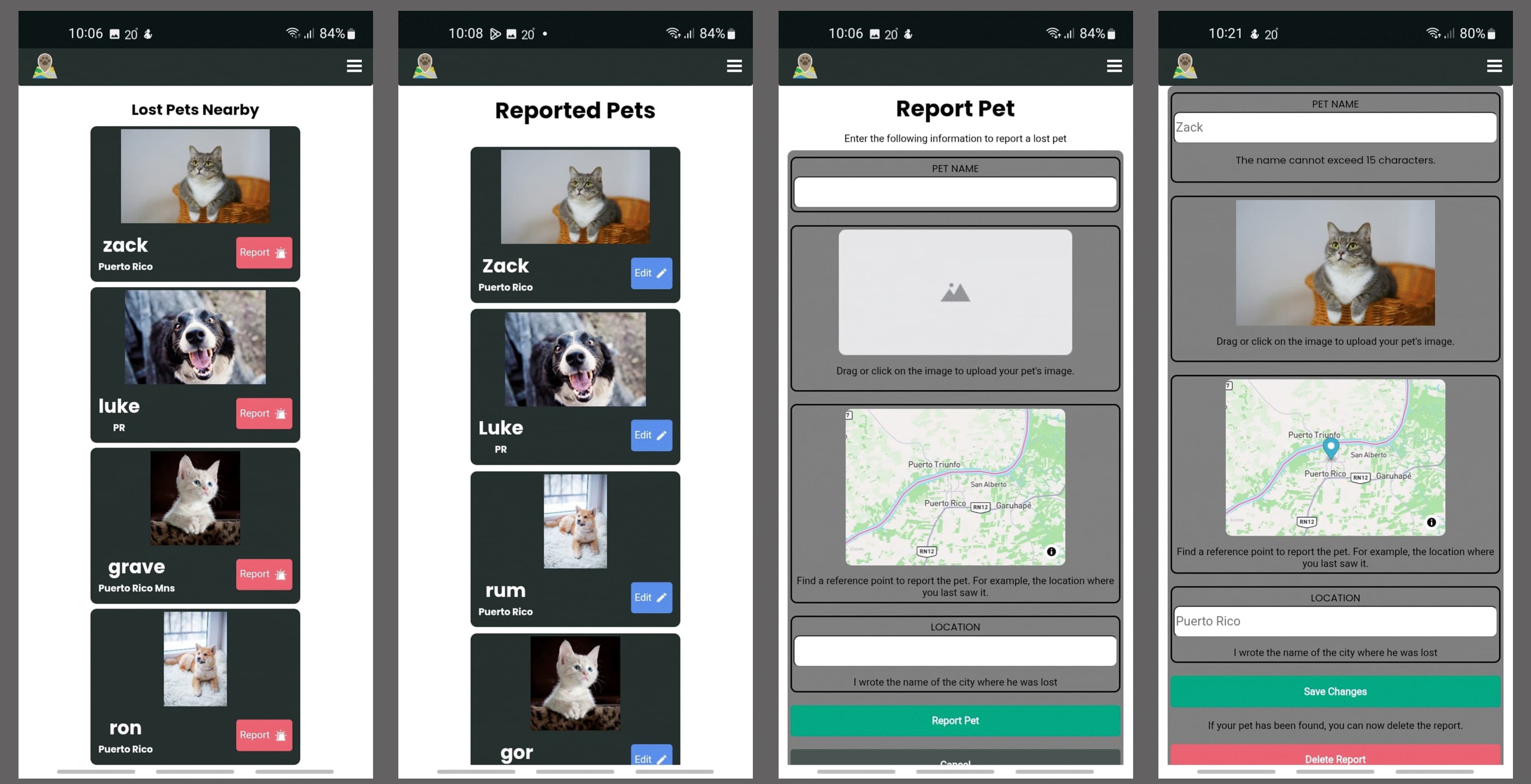 Pet Finder Collage